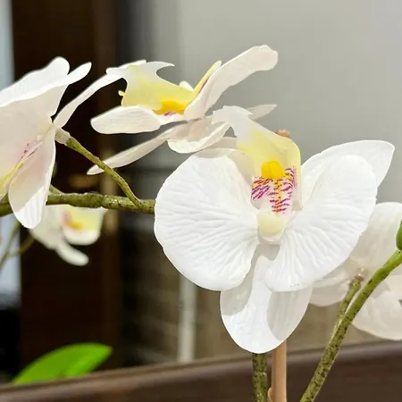 Royal - Private - Center Of Sunny *