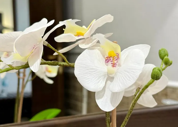 Royal - Private - Center Of Sunny *